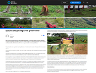 News18- news opinion world animal day wildlife conservation planting trees rebuilding destroyed habitats