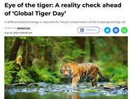 Global Tiger Day