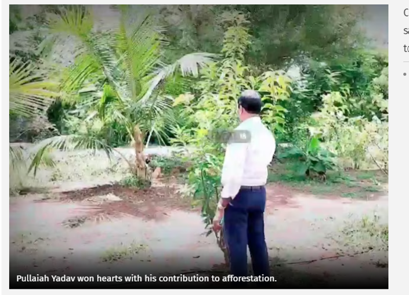 International Day of Climate Change: Meeting Climate Targets Through Tree Planting