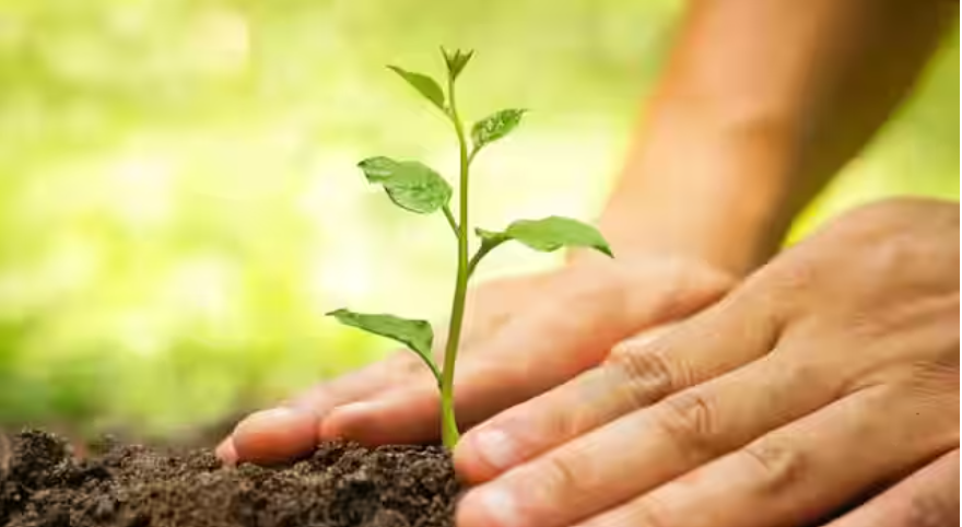 Some practical ways to combat air pollution as we step into a new year