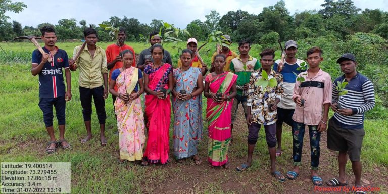 More than 85,000 trees to offer green cover in Thane