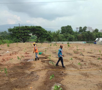 Grow Trees.com group launched Trees For City project in Jamshedpur
