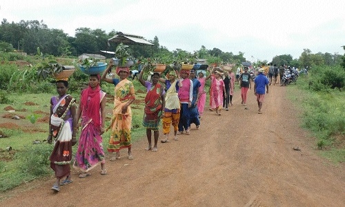 Plantation project.. repairing ecological, socio-economic fault lines in Chhattisgarh's tribal heartland