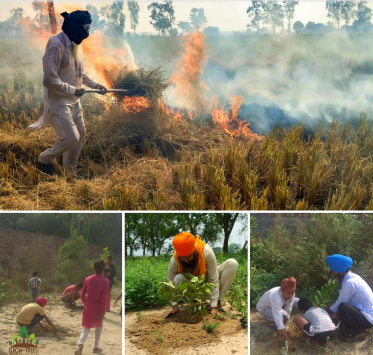 A solution to North India’s stubble burning impact