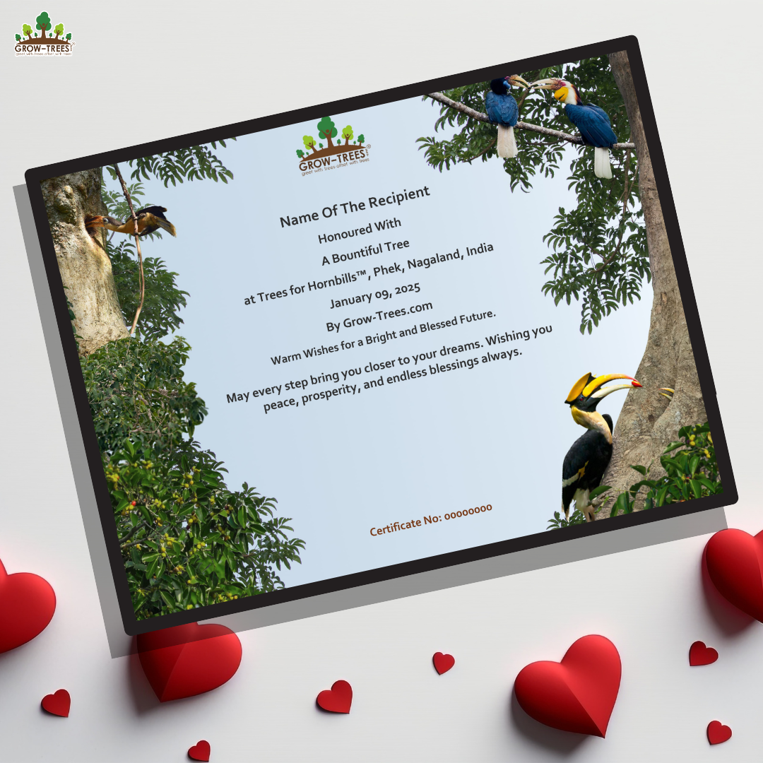 Eco-Conscious Corporate Gifting: Top Green Gift Ideas for 2024