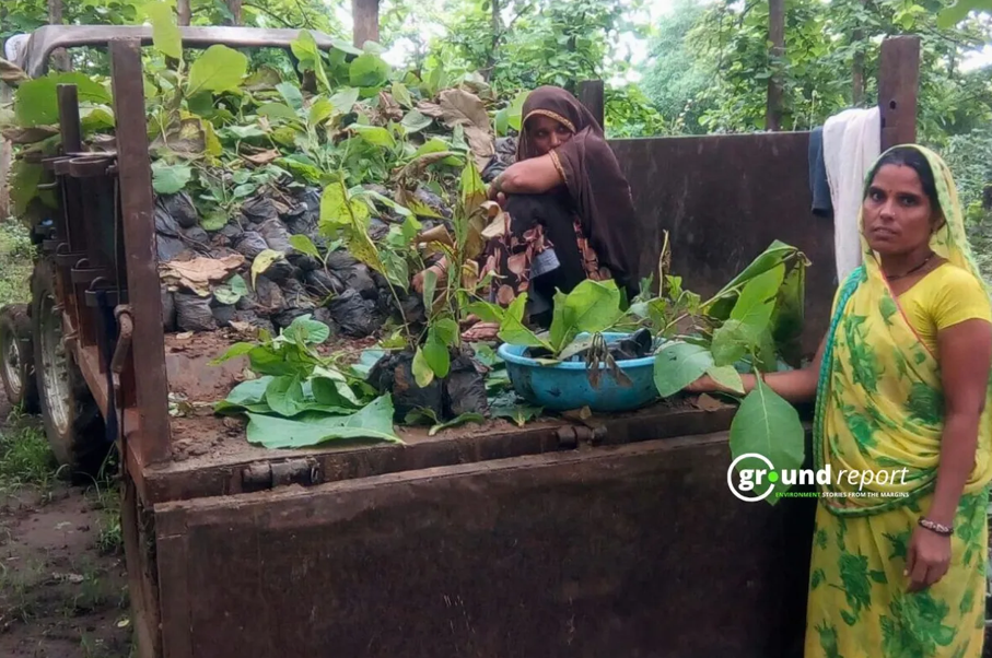 From Wayanad to Shimla: The rising crisis of overtourism and its environmental impact