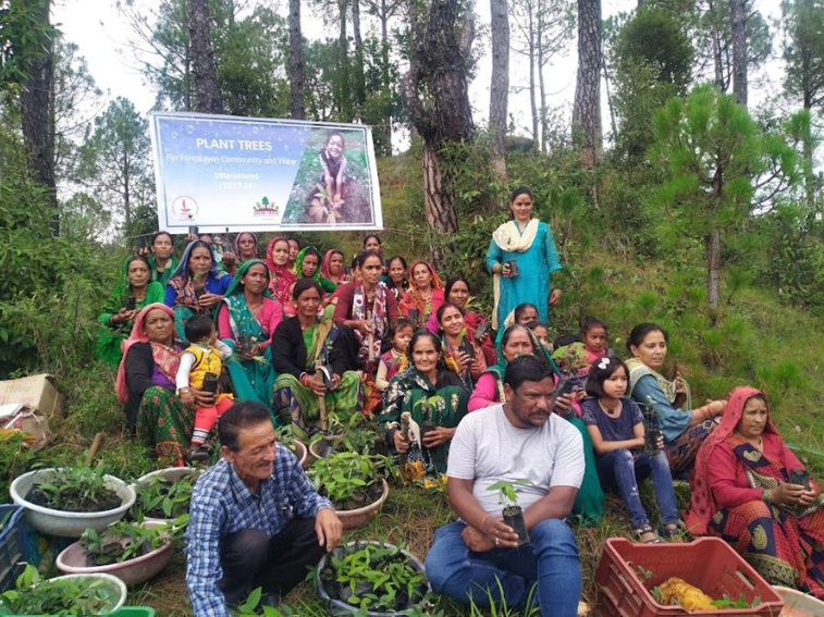 अंतर्राष्ट्रीय पर्वत दिवस: वनरोपण की पहल हिमालयी पारिस्थितिकी तंकी मरत करती है