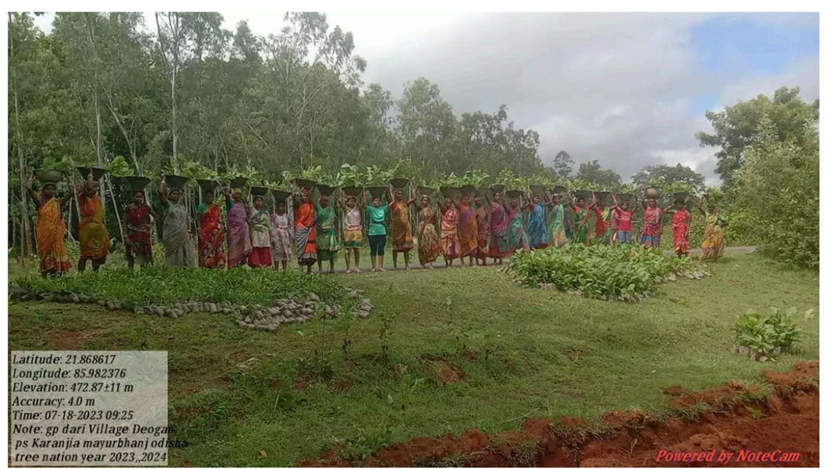 National Wildlife Day: Over 2 lakh trees to be planted this year to enhance the habitat of black tigers in Odisha