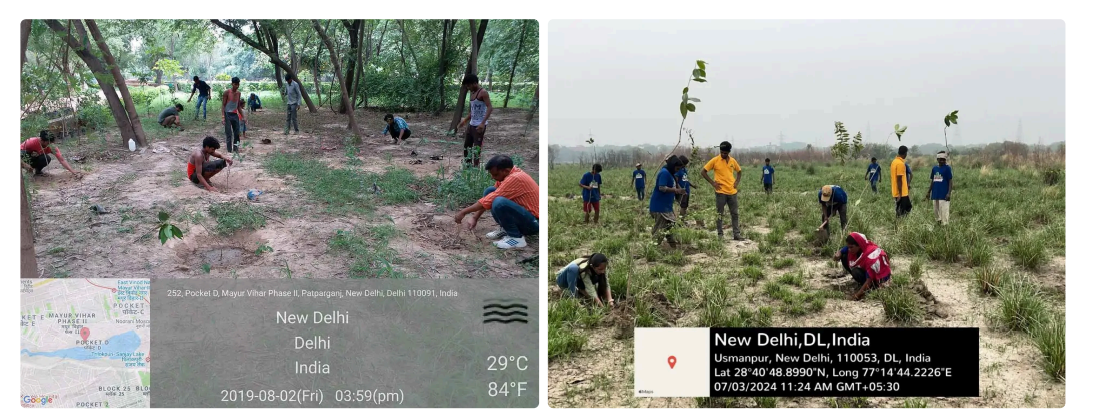 How Planting Trees Can Improve Air Quality and Build a Healthier Future