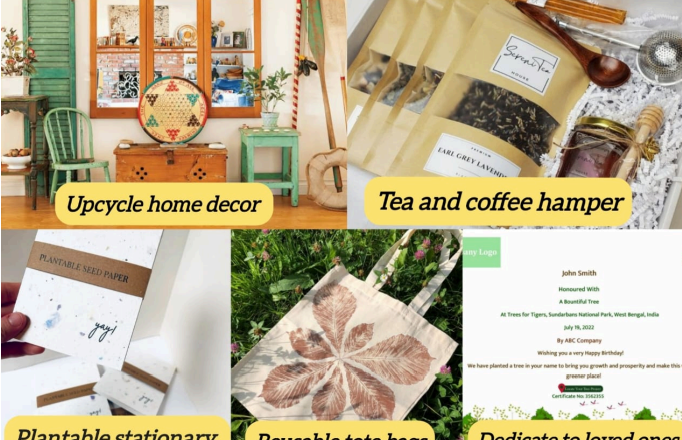 Greet 2025 with eco-sensitive gifts