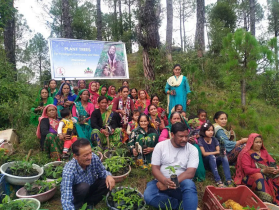 ग्लोबल वार्मिंग के प्रभाव का मुकाबला करने के लिए संवर्धित हरित आवरण महत्वपूर्ण