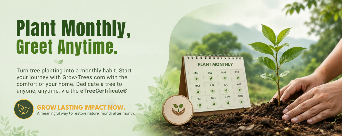 Plant Monthly, Greet Anytime
