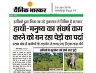 Curtain of trees being made to reduce man-elephant conflict - Dainik Bhaskar