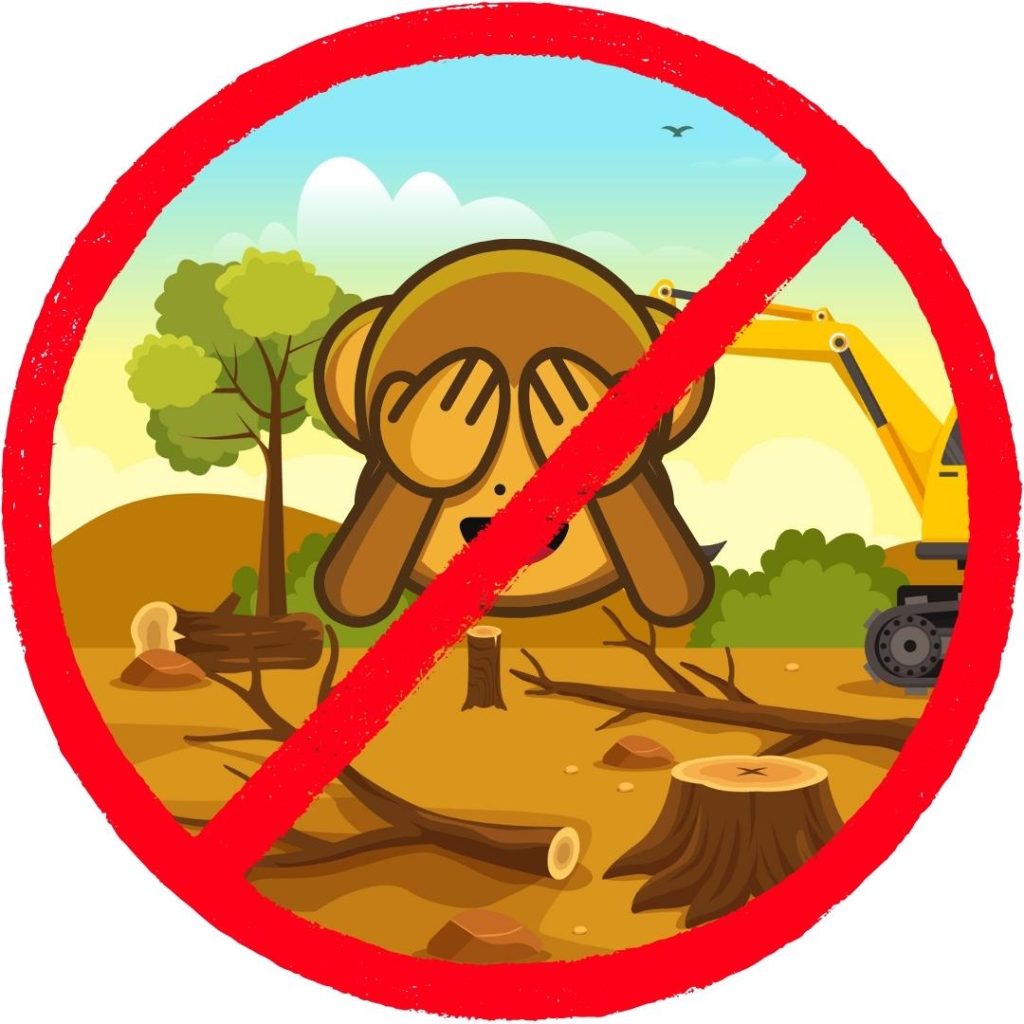 pay attention to environmental issues and reduce your carbon footprint