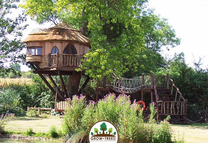 Amberley Castle Treehouse