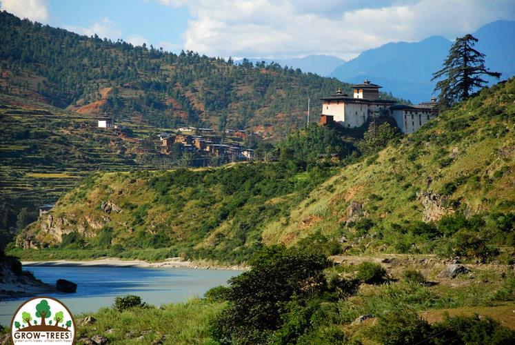 Bhutan isn''''''''t just Carbon Neutral, it is Carbon Negative!
