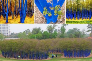 Blue Trees project