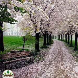 Burlington waterfront