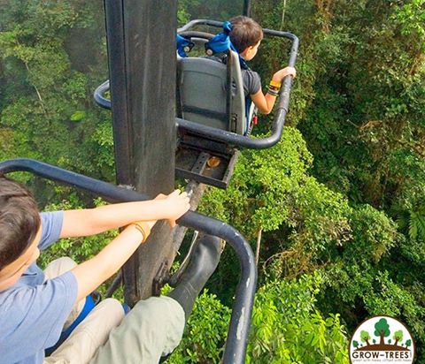 Ecuador Cloud Forest
