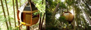 Egg-Shaped Tree House