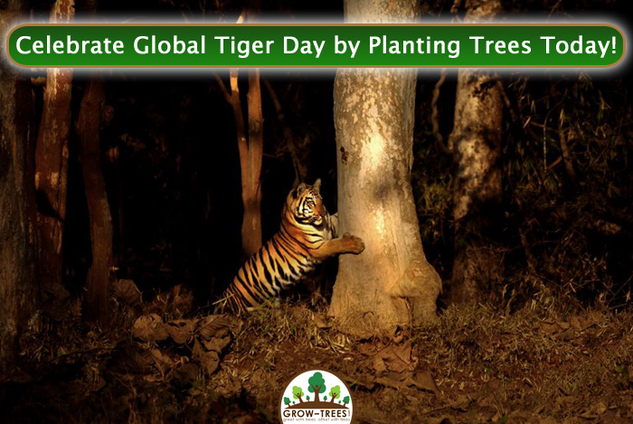 Global Tiger Day 2016