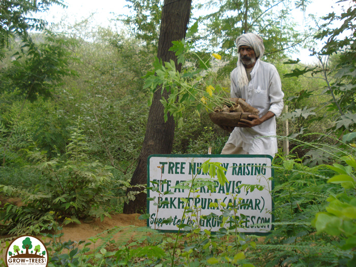 GlobalTigerDay-3-2016-Sariska
