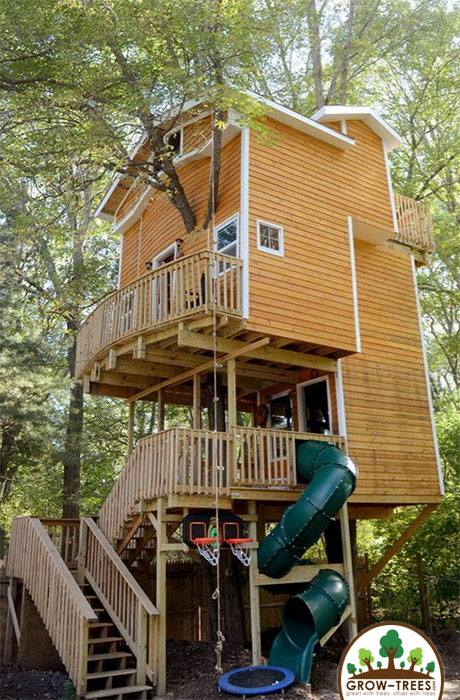 Jay Hewitt Tree House