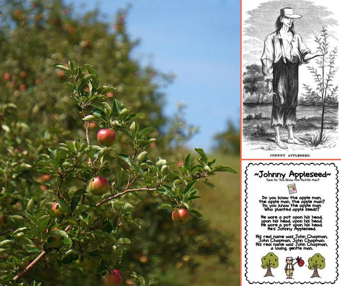 Johnny Appleseed