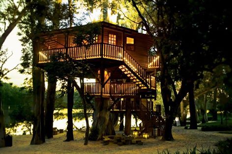 Lake Tree House
