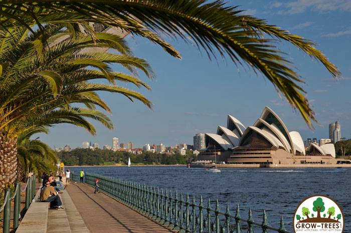 Natural Air-Conditioners