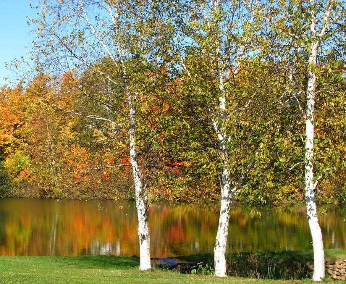 Poem_Charles DeGarmo