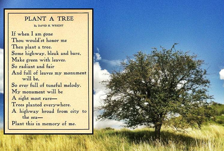 Poem_David H. Wright