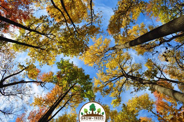 Poem_Eileen Prunster