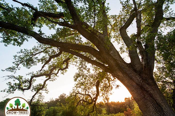 Poem_Kathy J Parenteau