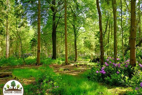 Poem_Malintha Perera