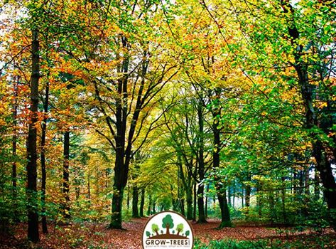 Poem_Michael S. Glaser