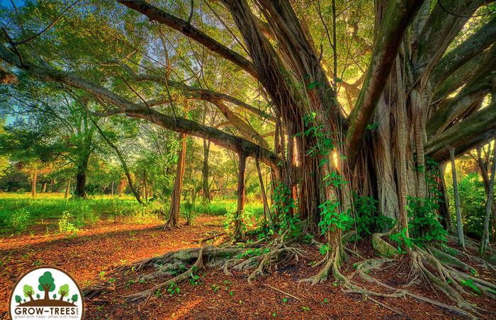 Poem_Rabindranath Tagore