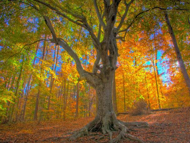 Poem_Richard Pemberton12