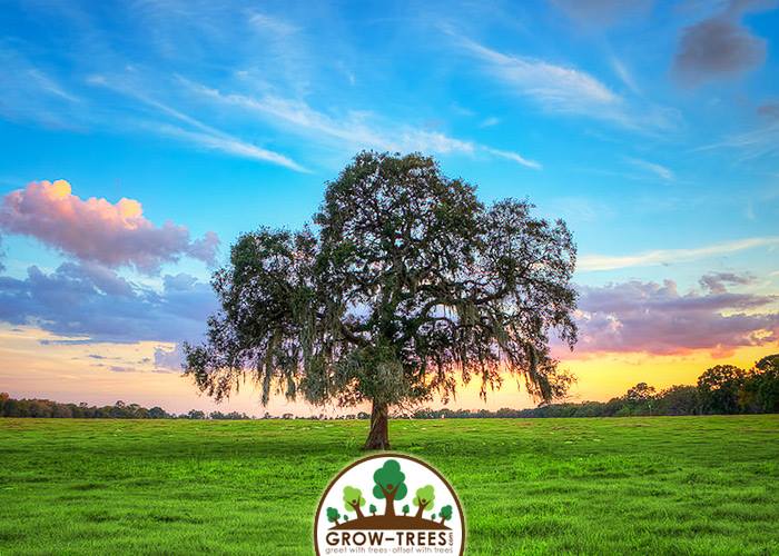 Poem_Samuel N. Baxter