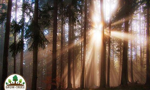 Poem_Zonika van Zijl