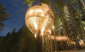 Redwoods Treehouse