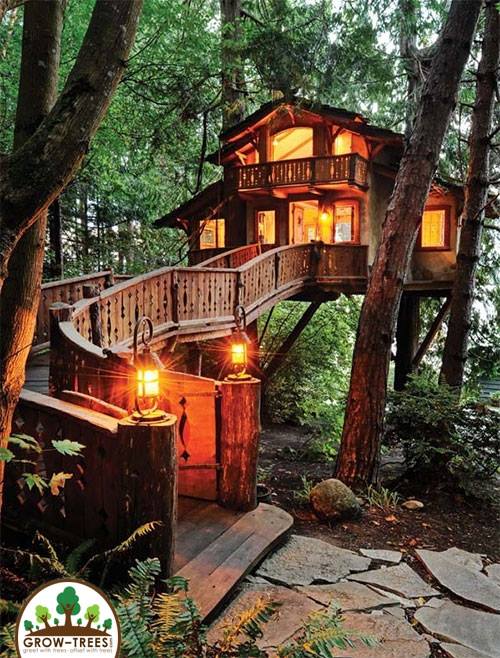 Safe Arbor TreeHouse