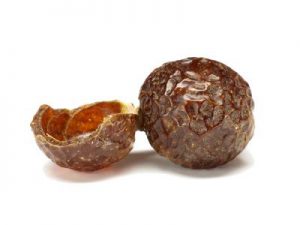 Soap Nuts