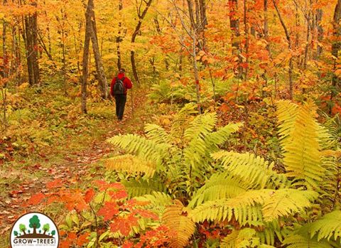 Superior Hiking Trail