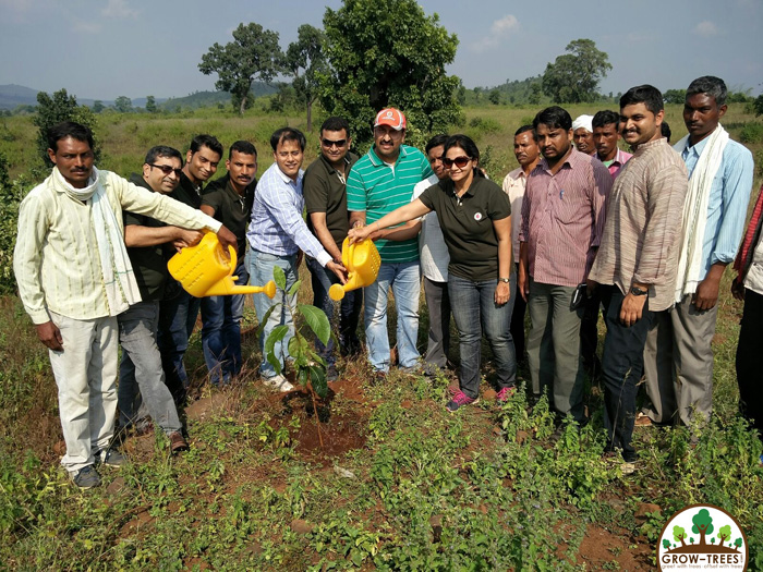 Grow-Trees.com & Vodafone