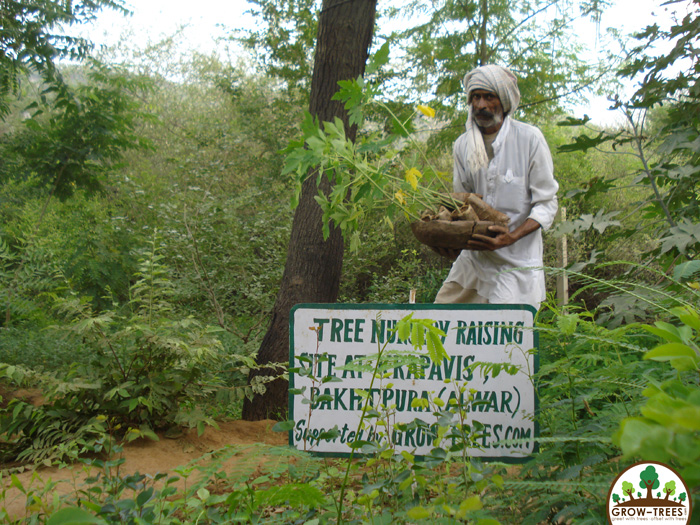 Sariska Tiger Reserve