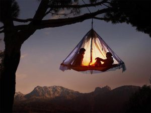 Tree Camping