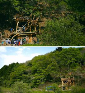 Tree House Classroom