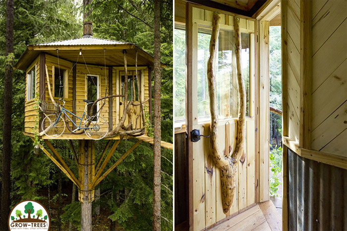 TreeHouseIdaho