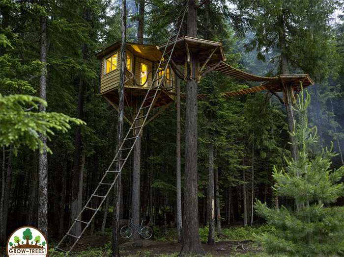 TreeHouseIdaho4